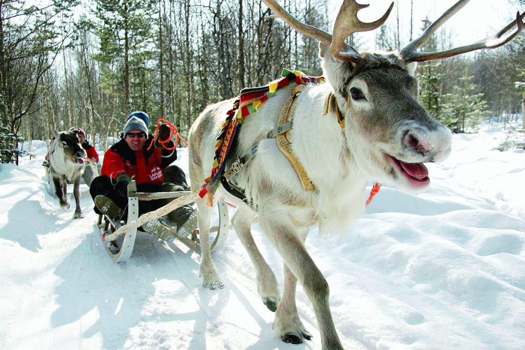 Sleigh Ride in Lapland